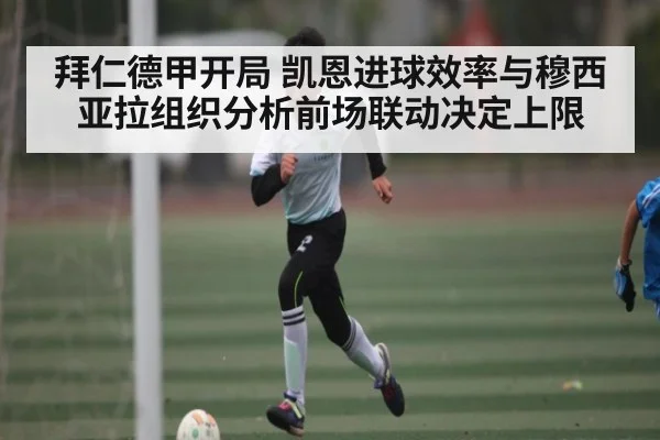 拜仁德甲开局 凯恩进球效率与穆西亚拉组织分析前场联动决定上限